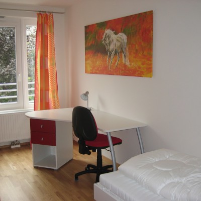 Kleine Pfarrgasse 17 – Top 01