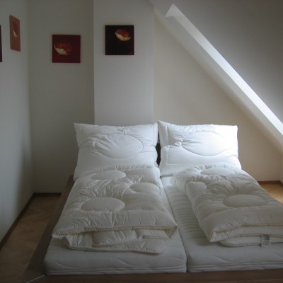Kleine Pfarrgasse 5 – Top 15